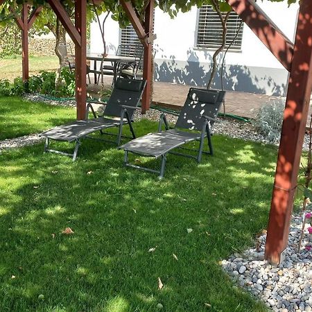 Apartma Nona Roza Zgornje Skofije Zewnętrze zdjęcie